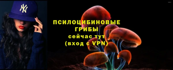 гидропоника Нея