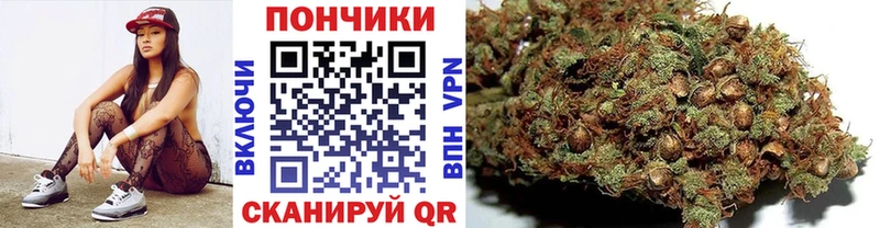 Канабис Amnesia  Ельня 
